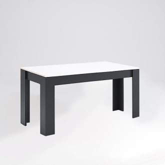 Терра Стол обеденный 1,6х0,95 Миромарк фотография