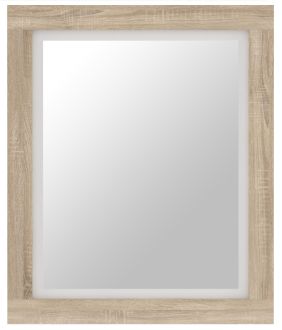 Сара Дзеркало LUS90 Гербор фотографія