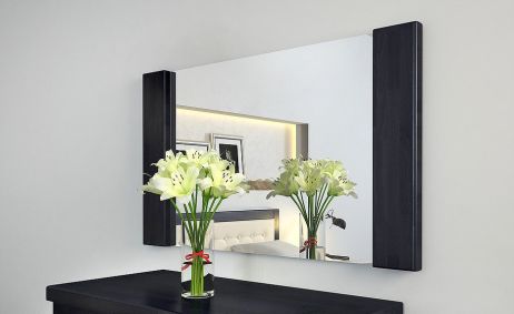 Регіна Дзеркало бук Арбор Древ фотографія