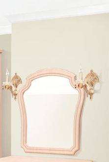 Камелія Дзеркало Світ Меблів фотографія