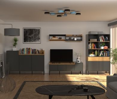 Беріл Вітальня  антрацит/дуб кам'яний ВМВ Холдинг фотографія