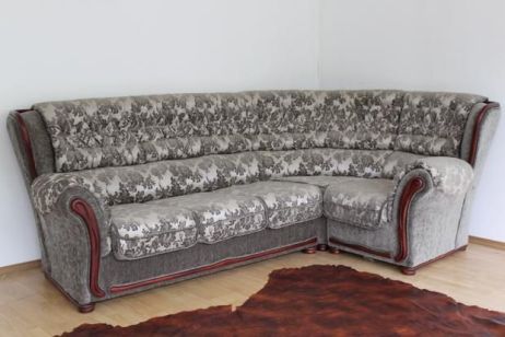 Кут Сеньйор (дельфін) фотографія