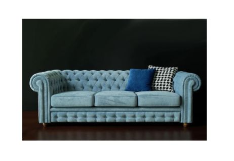 Диван Бруно (дельфін) фотографія